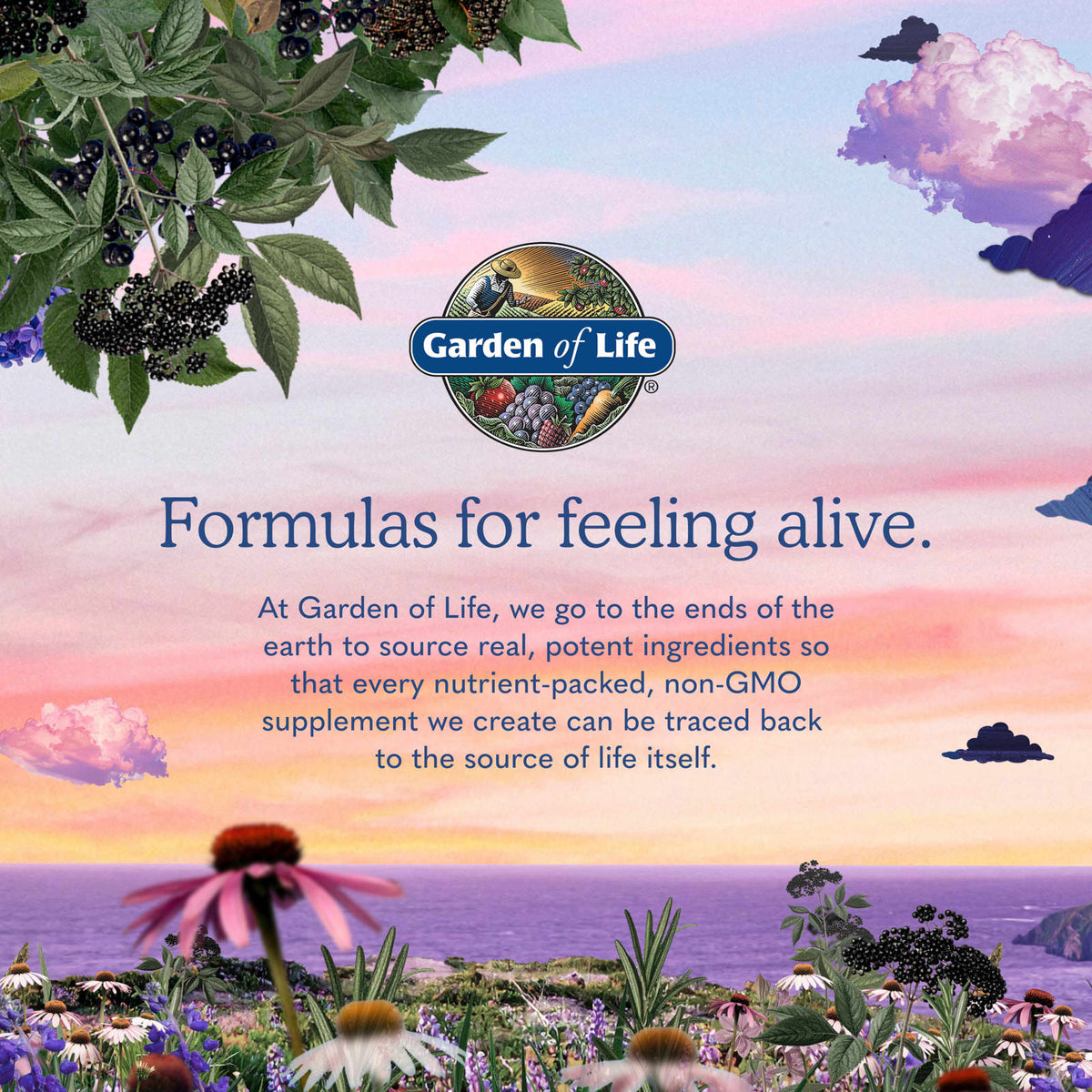Garden of Life RAW Probiotics Ultimate Care Shelf-Stable, 30 Vegetarian Capsules - view 6