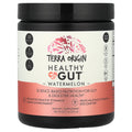 Terra Origin Healthy Gut, Watermelon, 243 g (8.57 oz)