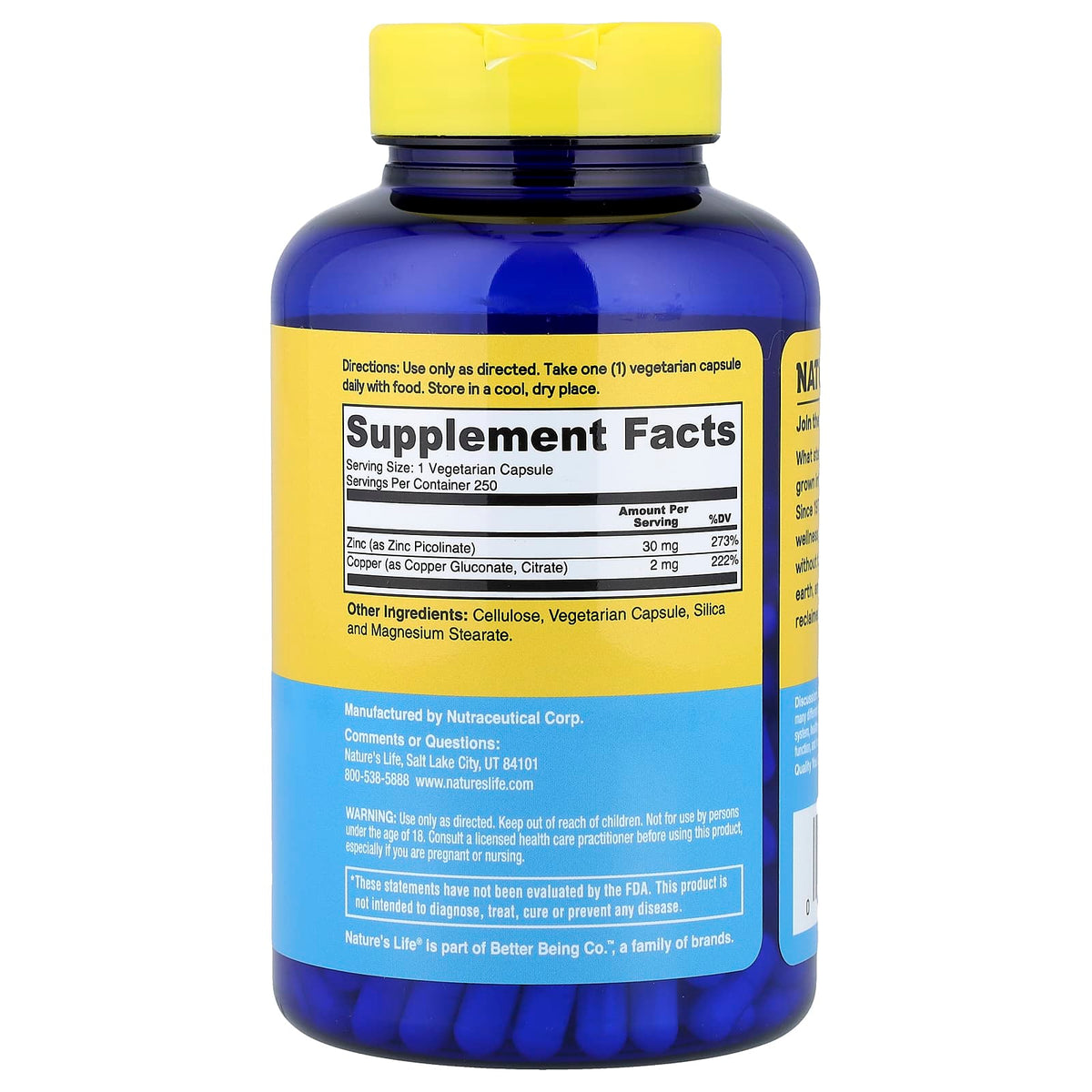 Nature's Life Protecting Zinc Plus Copper, 30 mg, 250 Capsules - view 2
