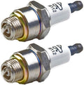 Briggs & Stratton 796112 Spark Plug, Pack of 2