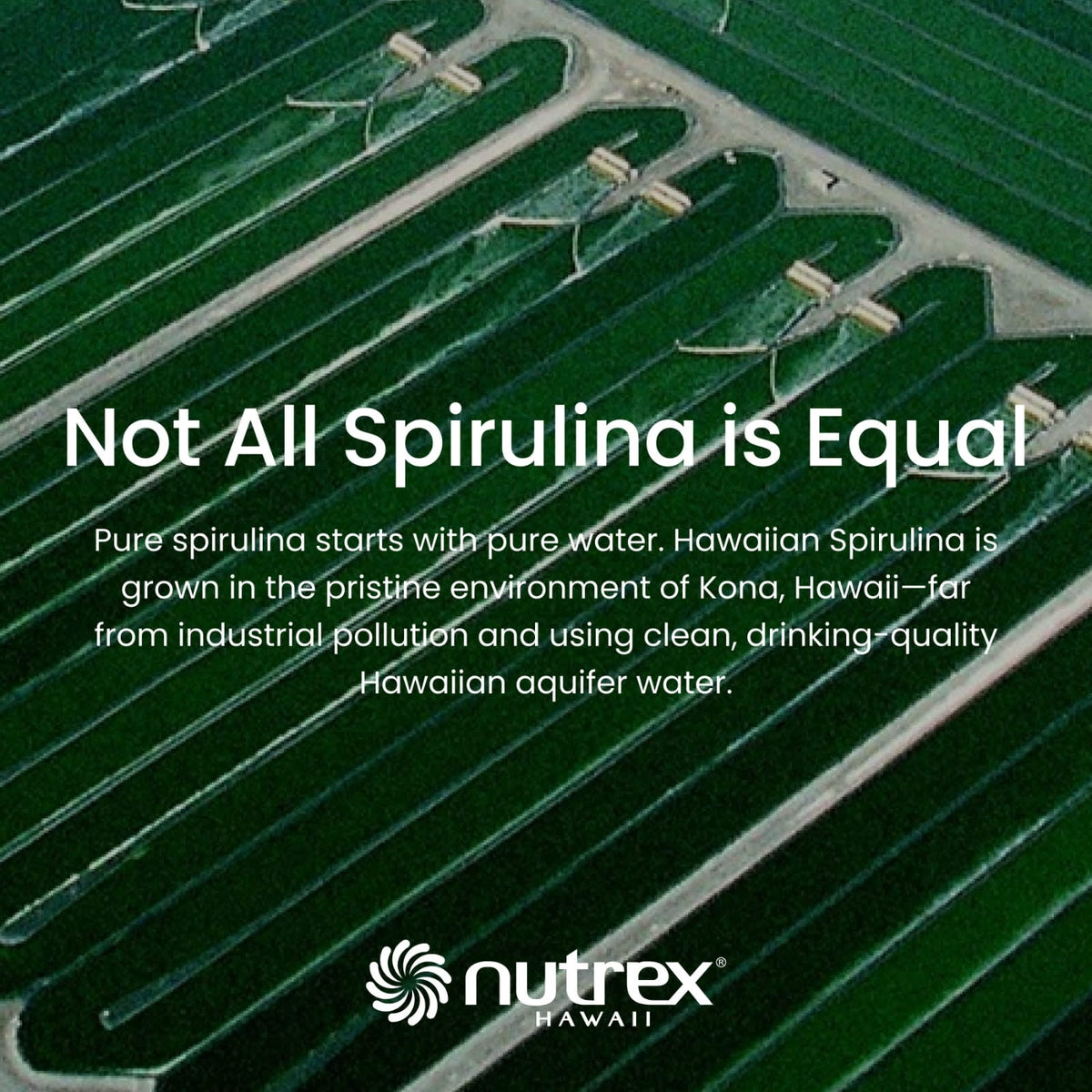 Nutrex Hawaii Pure Hawaiian Spirulina, 400 Tablets (500 mg per Tablet) - view 6