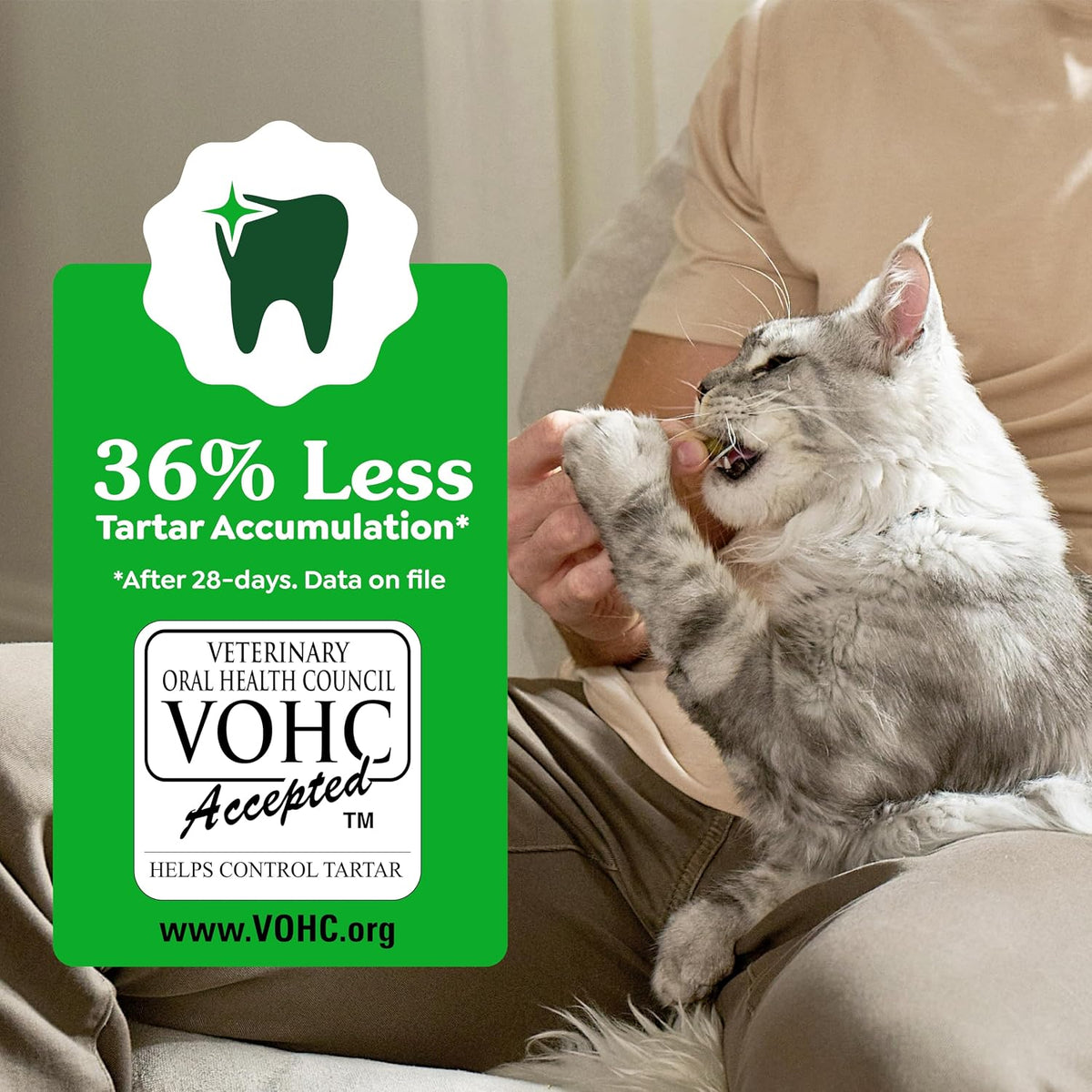 Greenies Feline Adult Dental Cat Treats, Catnip Flavour, 4.6 oz - view 6