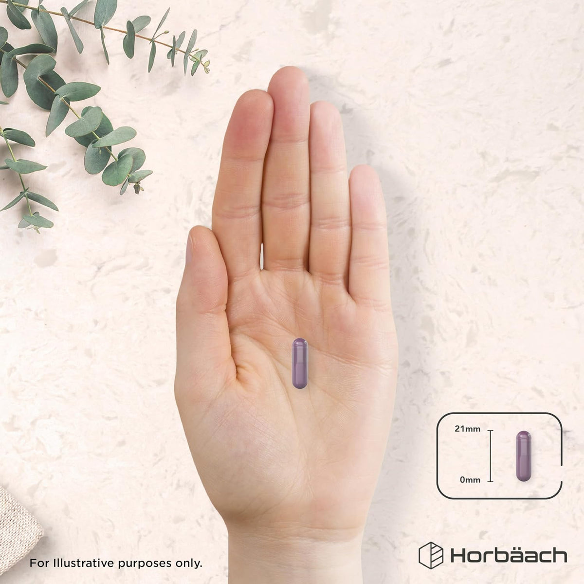 Horbäach Bilberry Extract Capsules 8,000mg, 25% Anthocyanidins - view 6