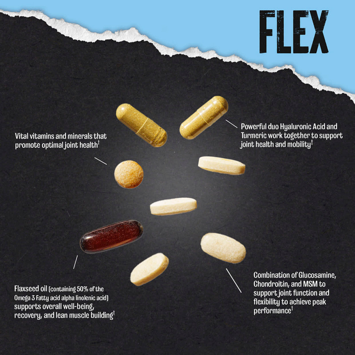 Animal Flex Comprehensive Joint Care, 44 Pill Packs - view 6