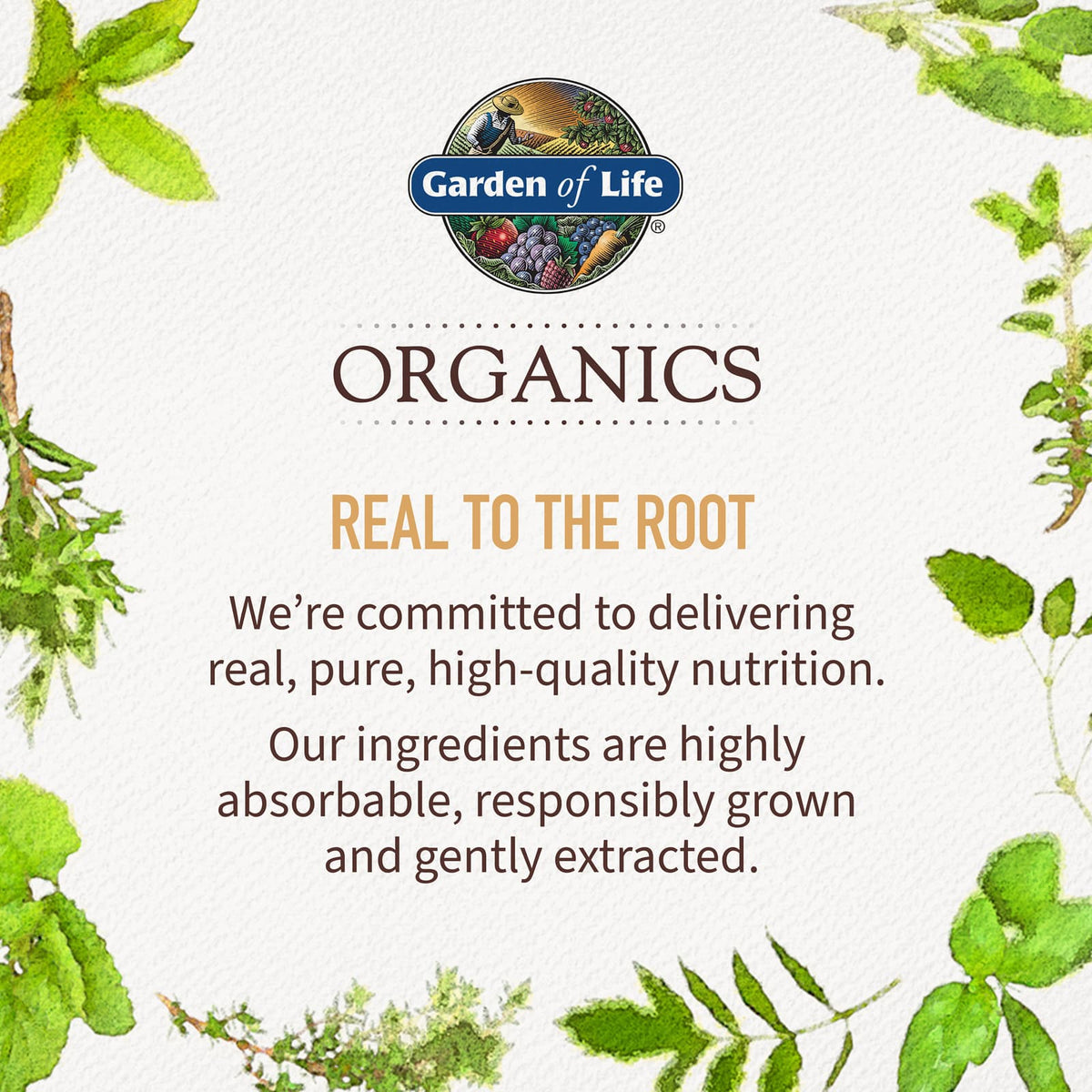 Garden of Life Organics Women's Multi, 60 Vegan Tablets - view 6
