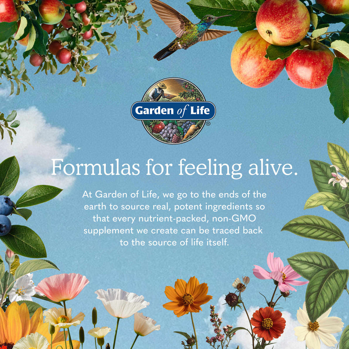 Garden of Life RAW Organic Meal Replacement Shake, Chocolate, 1,078 g (38.03 oz) - view 5