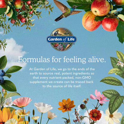 Garden of Life RAW Organic Meal Replacement Shake, Chocolate, 1,078 g (38.03 oz) - view 5