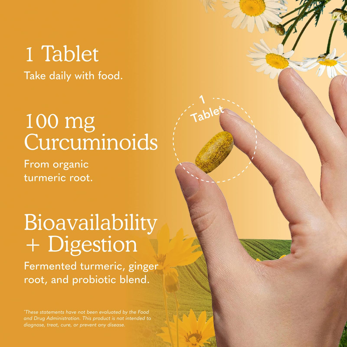 Garden of Life Organics Turmeric, 60 Vegan Tablets - view 4