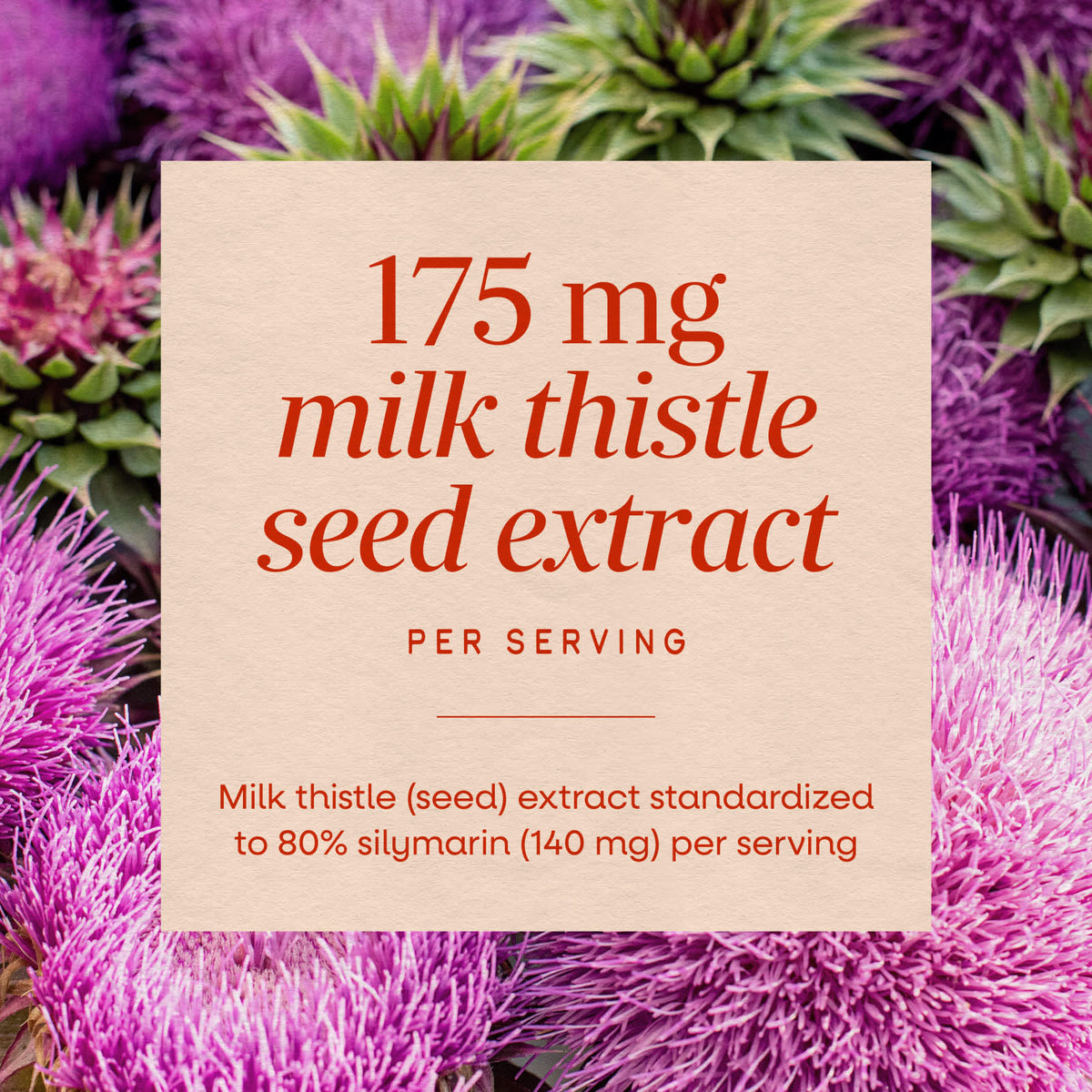 Nature's Way Milk Thistle 120 Vegan Capsules - view 4