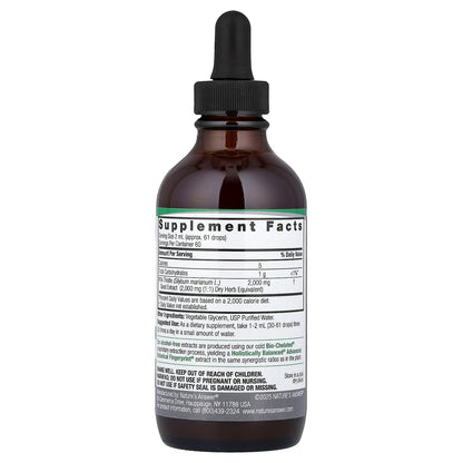 Nature's Answer Milk Thistle Seed Fluid Extract, Alcohol-Free, 120 ml (4 fl oz) - view 2