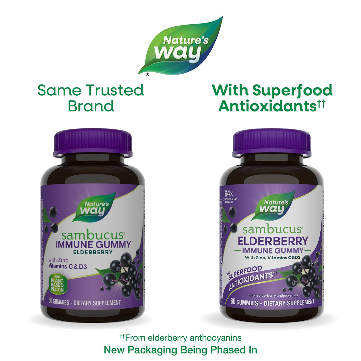 Nature's Way Sambucus Immune Gummies, Elderberry, 60 Gummies - view 3