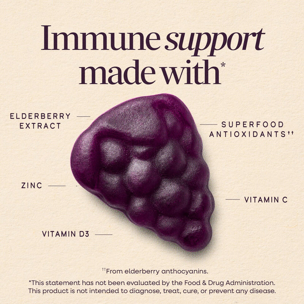 Nature's Way Sambucus Immune Gummies, Elderberry, 60 Gummies - view 6