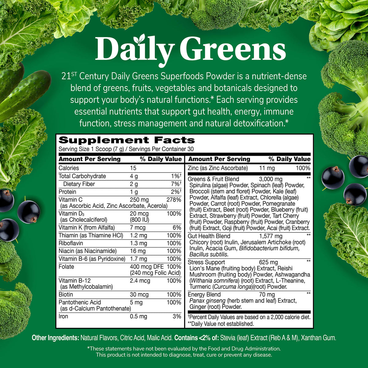 21st Century Daily Greens Superfoods Powder, Lemon Lime, 7.4 oz (210 g) - view 3