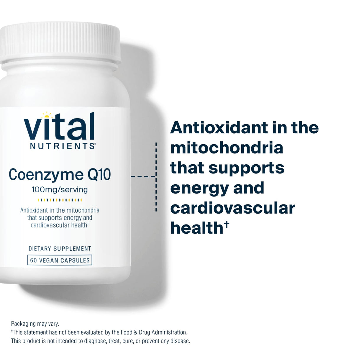 Vital Nutrients Coenzyme Q10 100 mg 60 Vegan Capsules - view 3