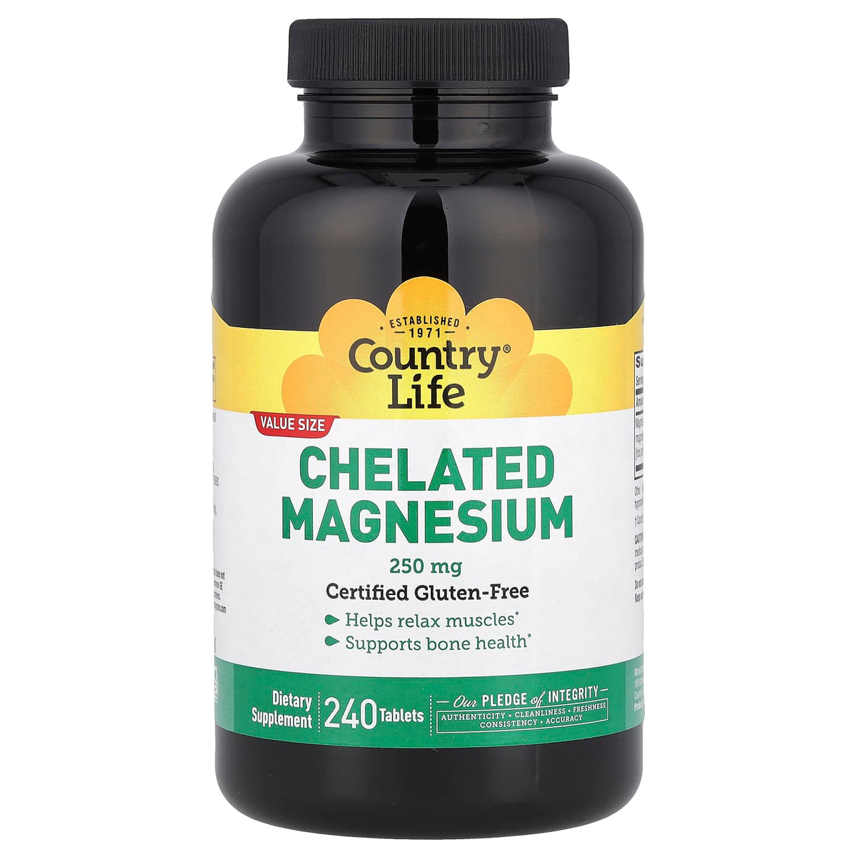Country Life Chelated Magnesium 250 mg, 240 Tablets — product view