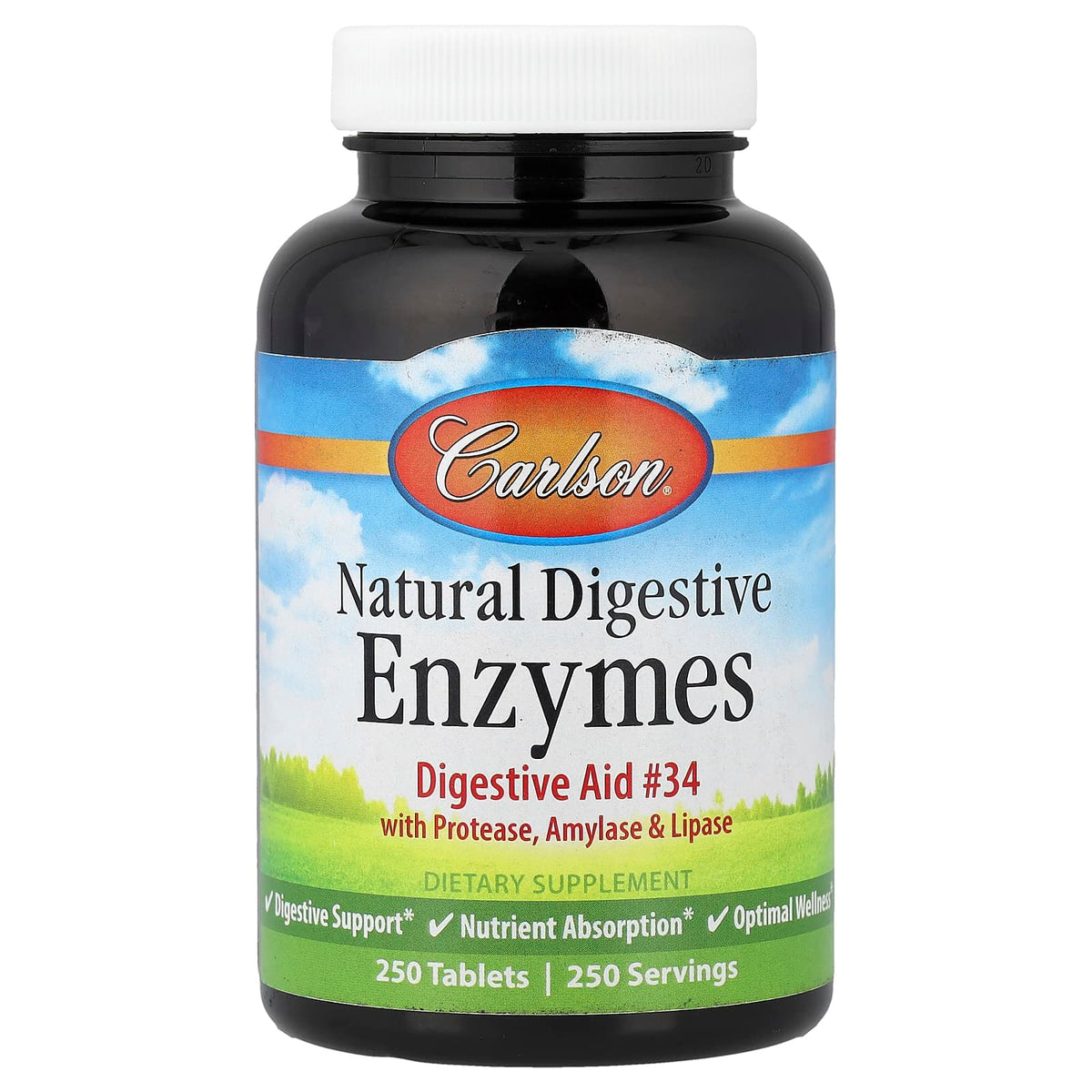 Carlson Natural Digestive Enzymes with Protease, Amylase and Lipase, 250 Tablets — product view