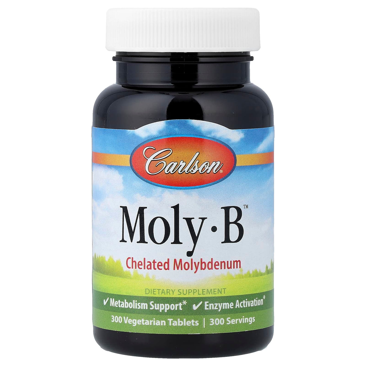 Carlson Moly-B Chelated Molybdenum, 500 mcg, 300 Vegetarian Tablets — product view