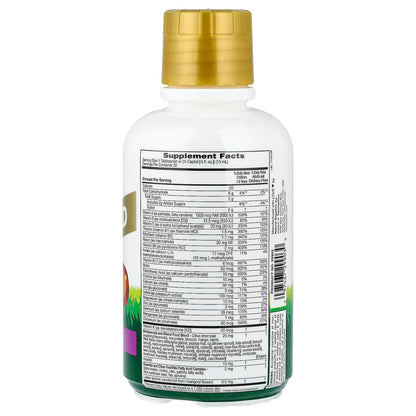 NaturesPlus Animal Parade Gold Multi Liquid, Tropical Berry, 480 ml (16 fl oz) - view 2