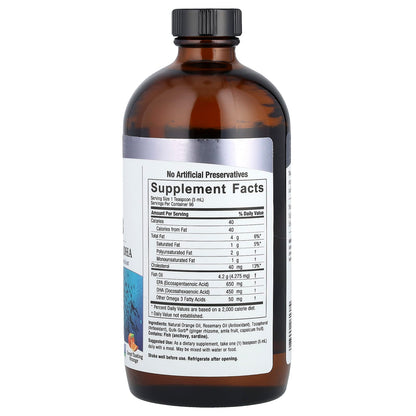 Nature's Answer Liquid Omega-3 Fish Oil EPA/DHA Orange 480 ml (16 fl oz) - view 2