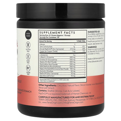 Terra Origin Healthy Gut, Watermelon, 243 g (8.57 oz) - view 2
