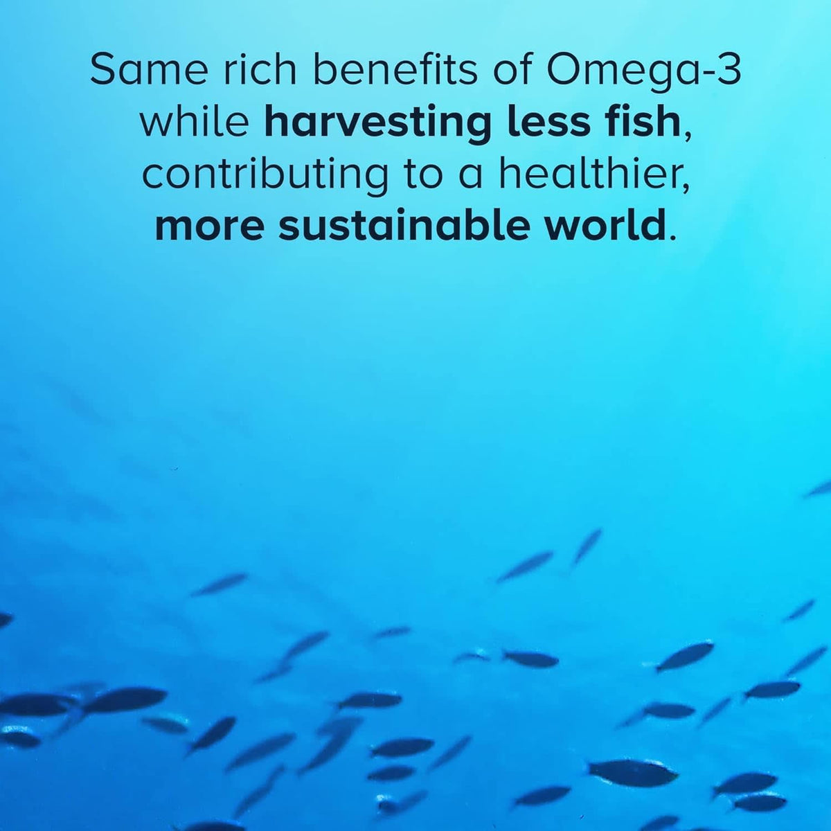 Qunol Advanced Omega-3 Krill and Fish Oil, 60 Softgels - view 4