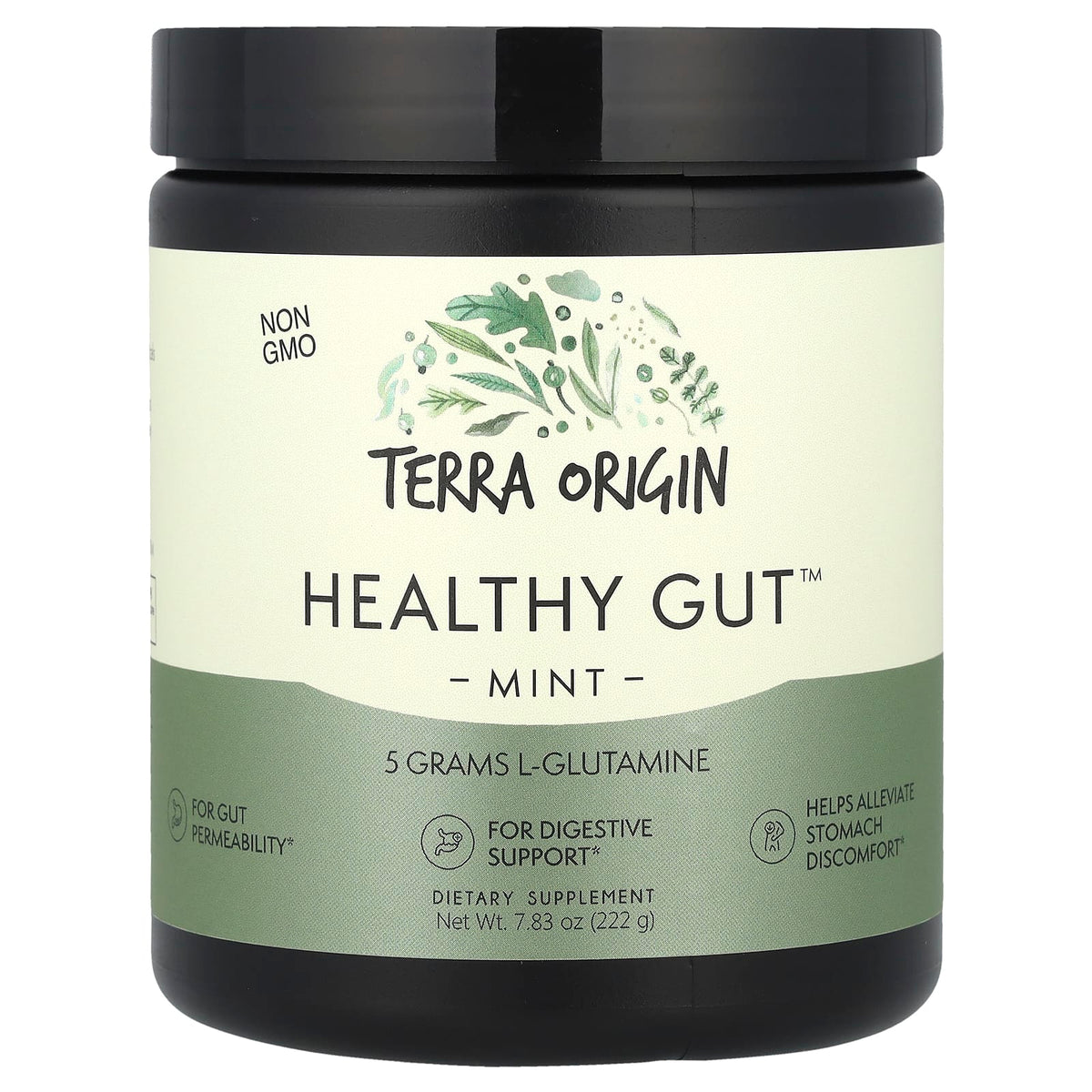 Terra Origin Healthy Gut Powder, Mint, 222 g (7.83 oz)