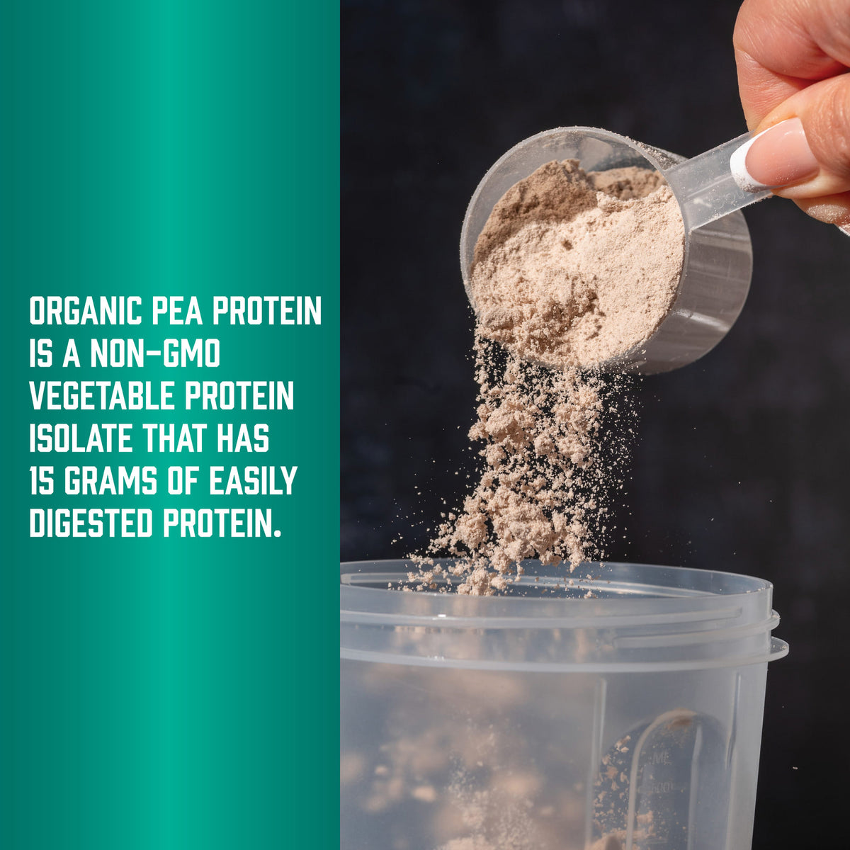 NOW Foods Sports Organic Pea Protein Powder, Unflavoured, 680 g (1.5 lb) - view 4