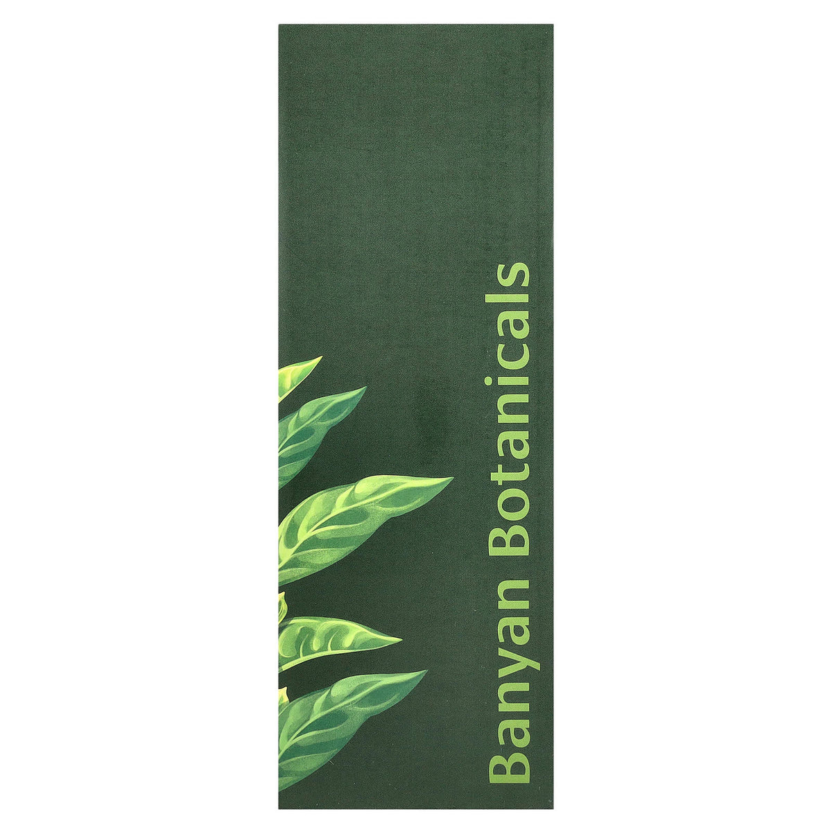 Banyan Botanicals Daily Swish Oil Pulling Rinse, Mint, 236 ml (8 fl oz) - view 3