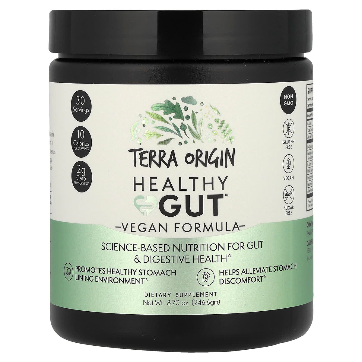 Terra Origin Healthy Gut Vegan Formula Powder, 246.6 g (8.7 oz)