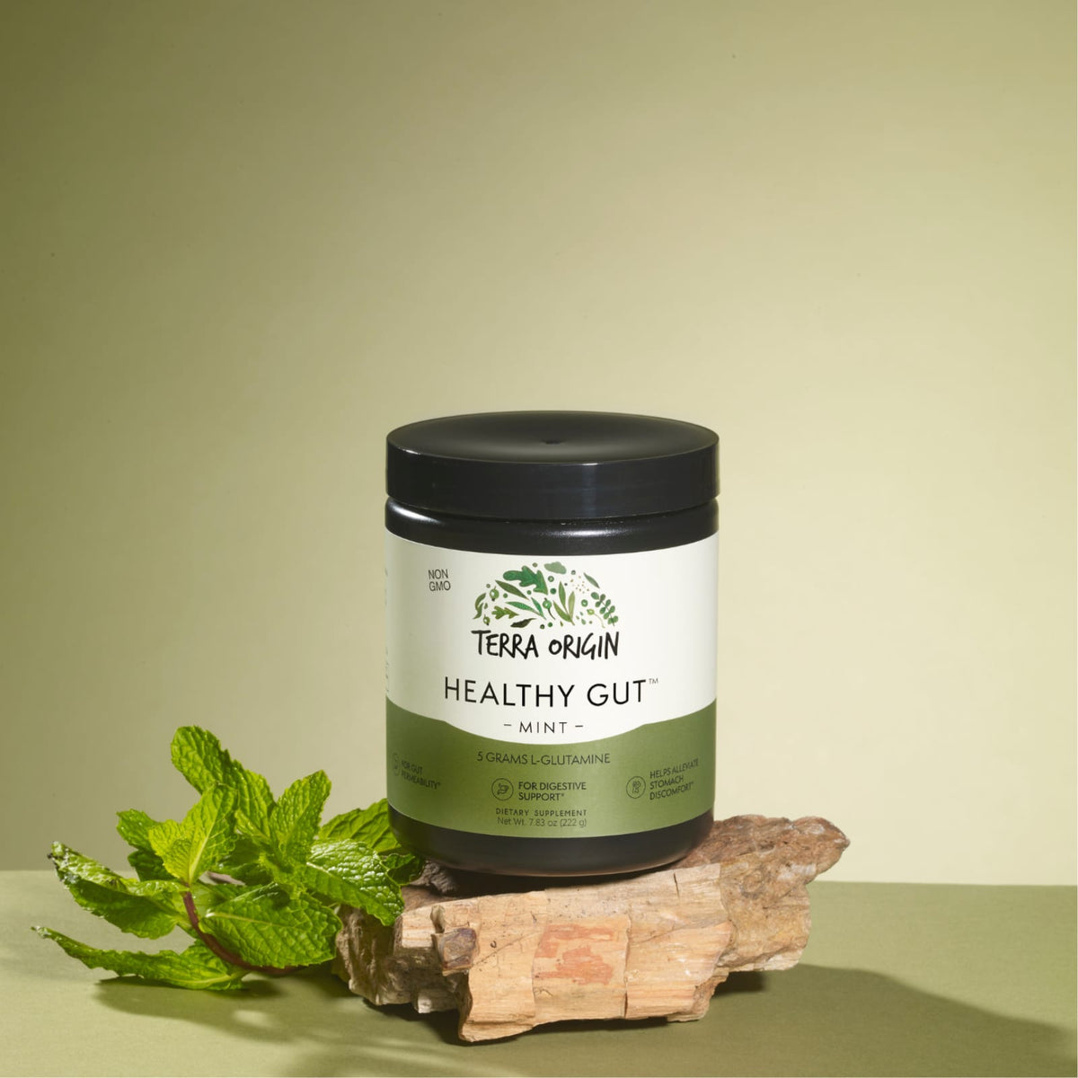 Terra Origin Healthy Gut Powder, Mint, 222 g (7.83 oz) - view 5