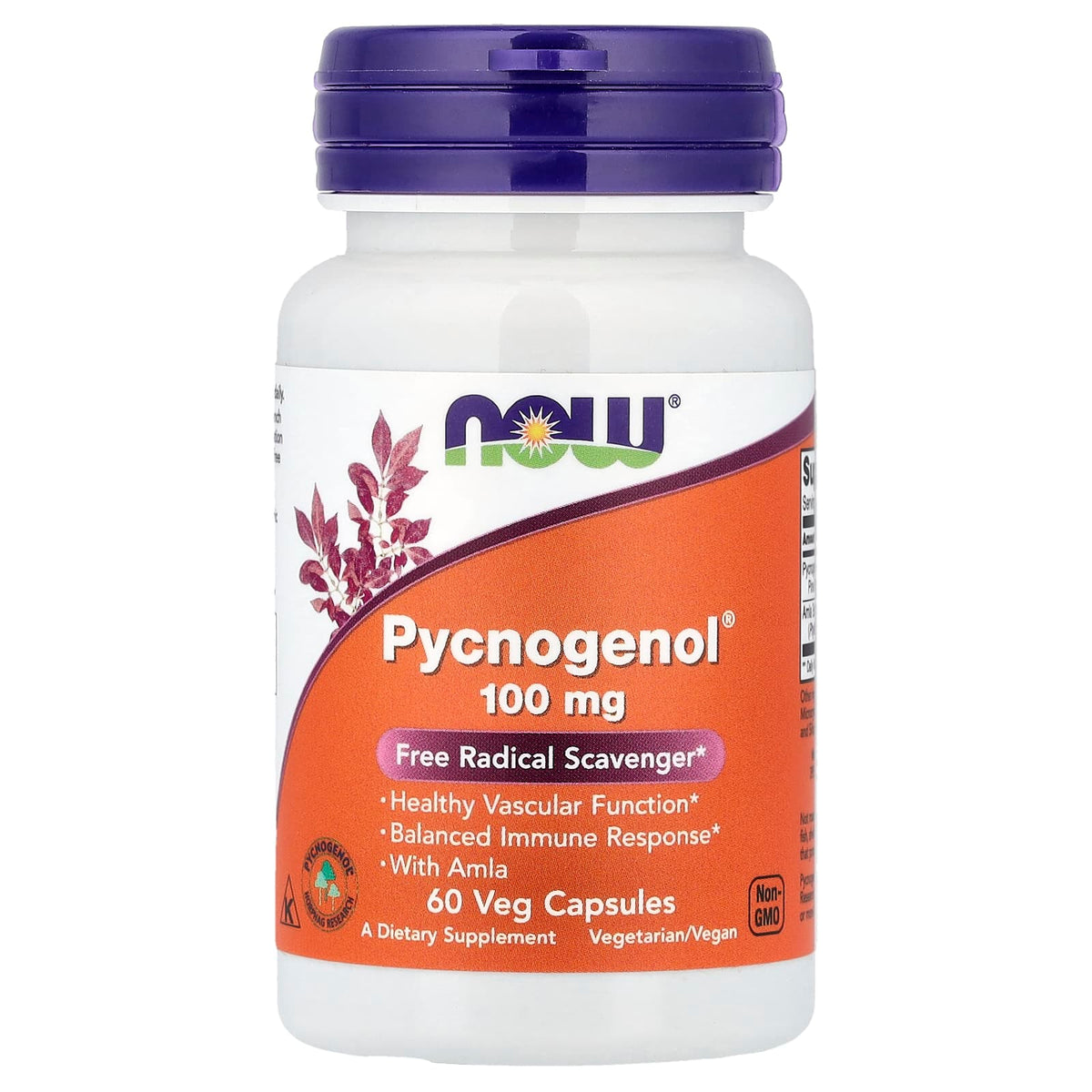 NOW Foods Pycnogenol, 60 Veg Capsules — product view