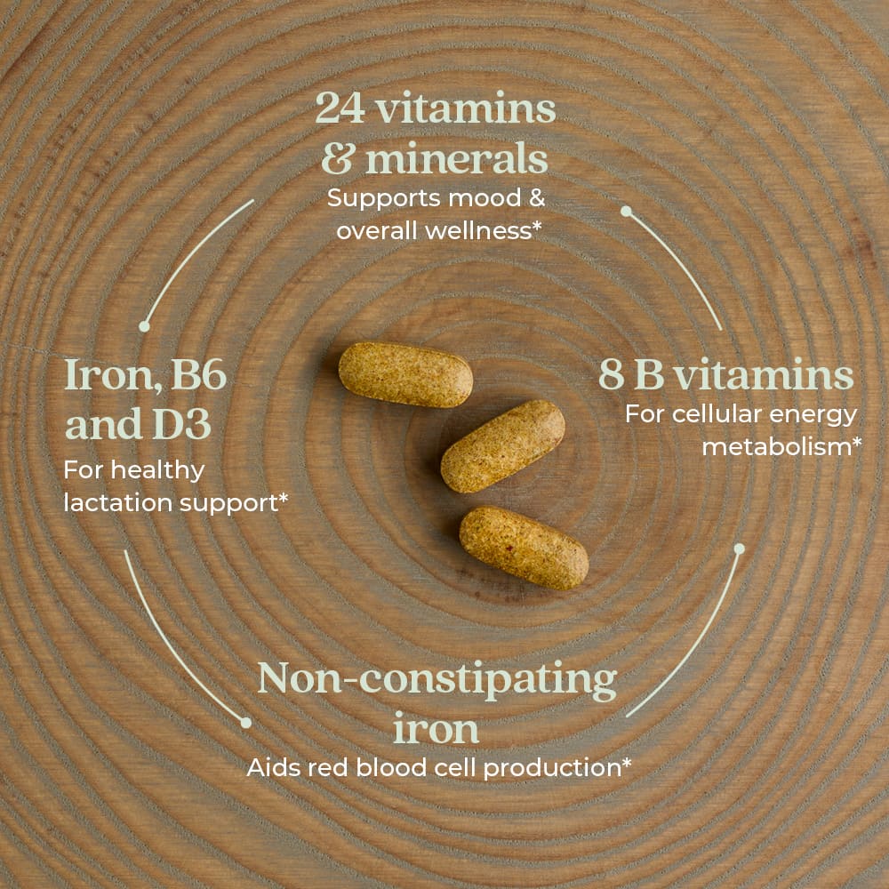New Chapter Perfect Postnatal Multivitamin, 96 Vegetarian Tablets - view 6