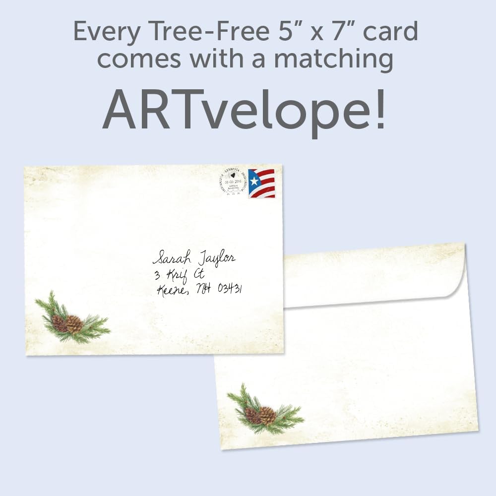 Tree-Free Greetings Christmas Cards 5 x 7 Inch, Pack of 12, Winter Pine Wreath - view 4