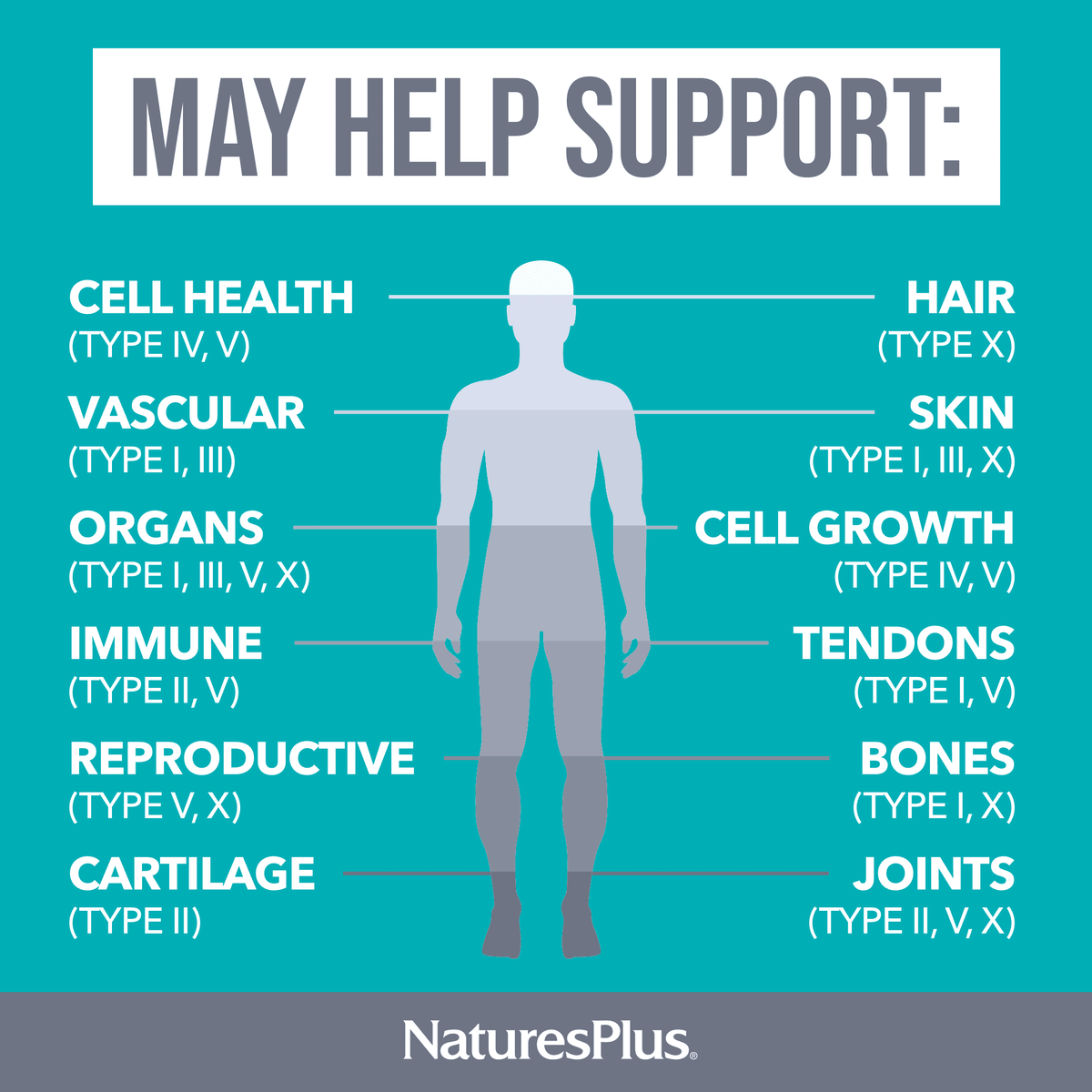 NaturesPlus Collagen Peptides, 120 Capsules - view 4