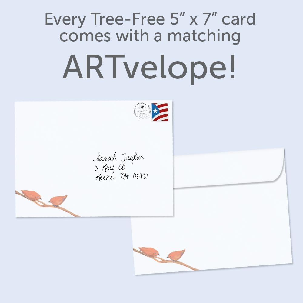 Tree-Free Greetings Bird Celebration Birthday Cards, Pack of 2 - view 4
