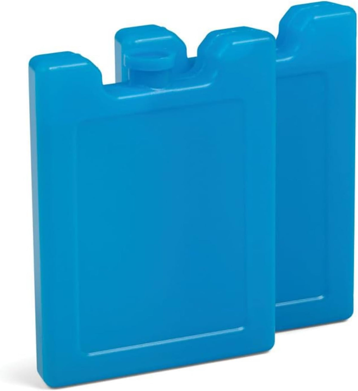 Igloo Maxcold Small Ice Block, Pack of 2, Blue