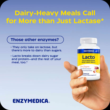 Enzymedica Lacto, 90 Capsules - view 4