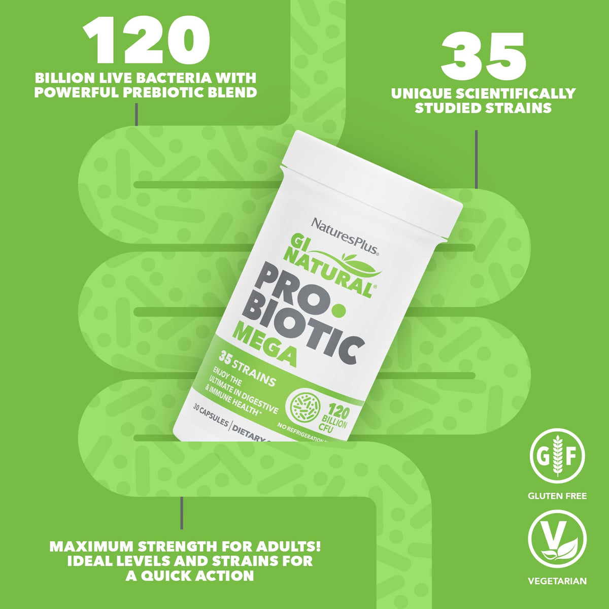 NaturesPlus GI Natural Probiotic Mega, 30 Capsules - view 3