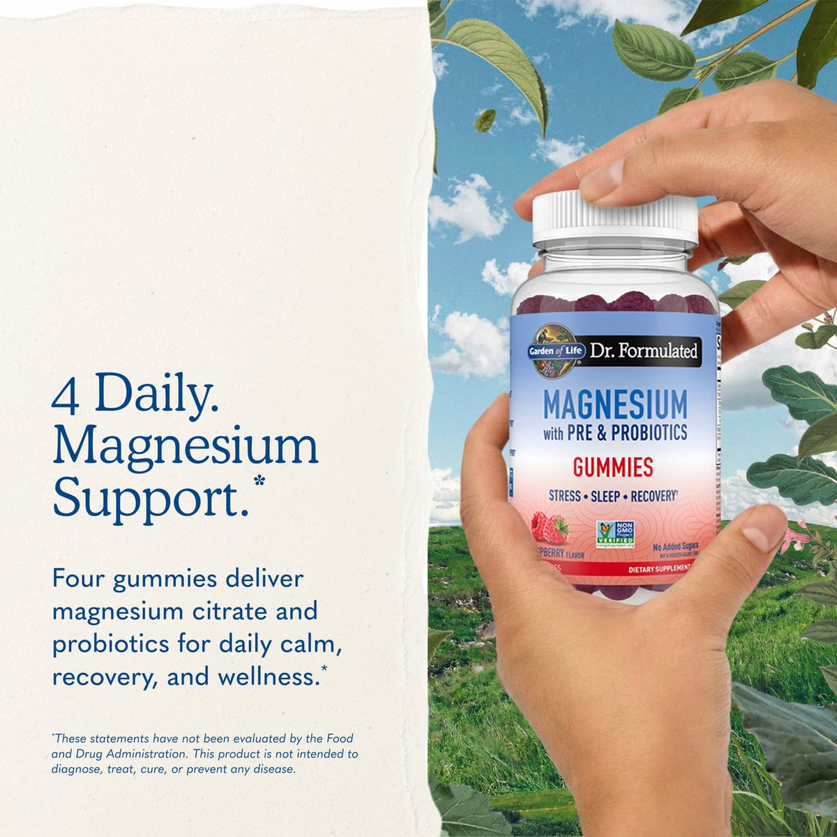 Garden of Life Magnesium with Pre & Probiotics Gummies, Raspberry, 60 Gummies - view 6