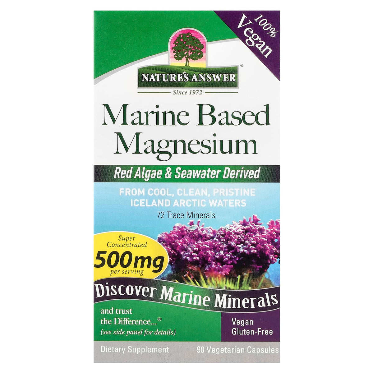 Nature's Answer Marine Based Magnesium, 90 Vegetarian Capsules — product view