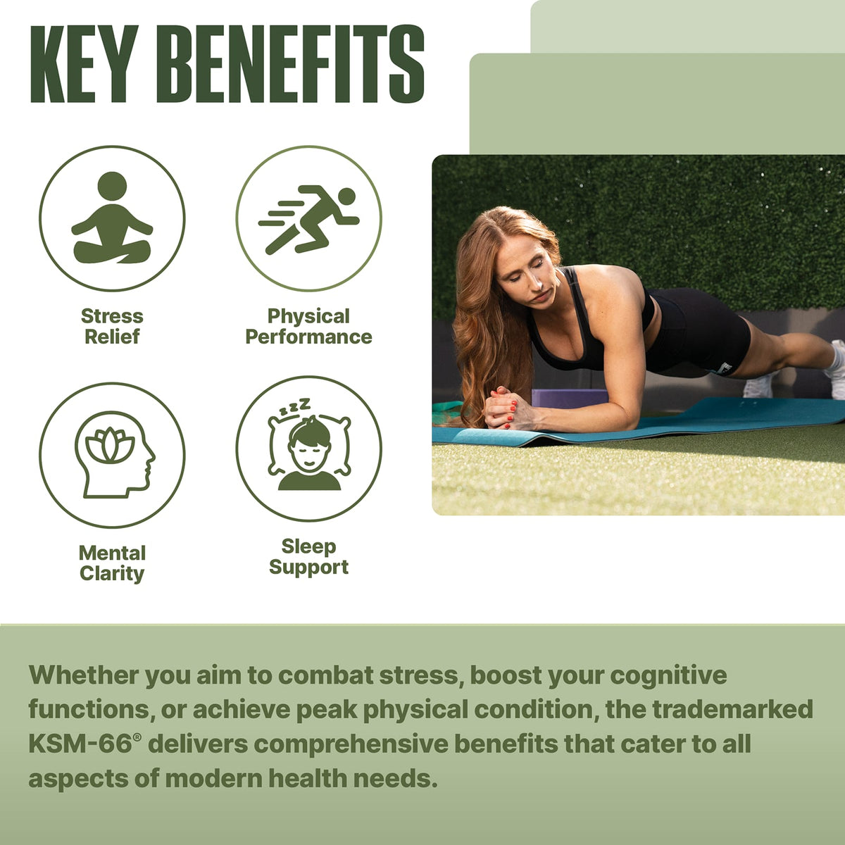NutraBio KSM-66 Ashwagandha, 90 Capsules - view 4