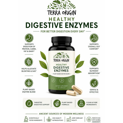 Terra Origin Healthy Digestive Enzymes, 60 Vegetarian Capsules - view 3