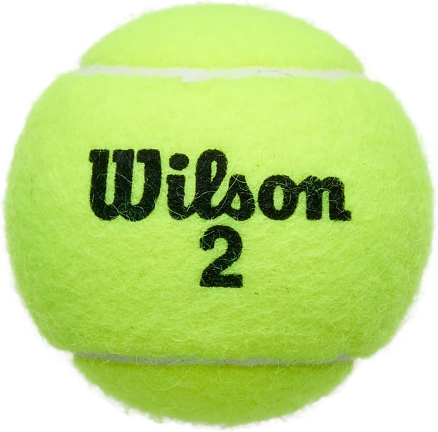 Wilson Championship Extra Duty Tennis Balls, Can of 3 - view 3