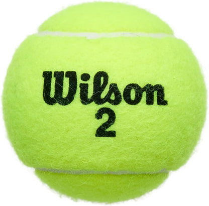 Wilson Championship Extra Duty Tennis Balls, Can of 3 - view 3