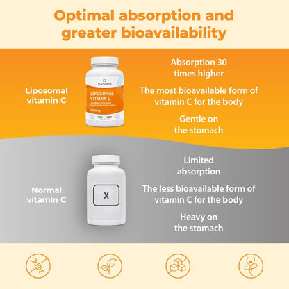 Bandini Liposomal Vitamin C High Strength Capsules, 180 Count - view 3