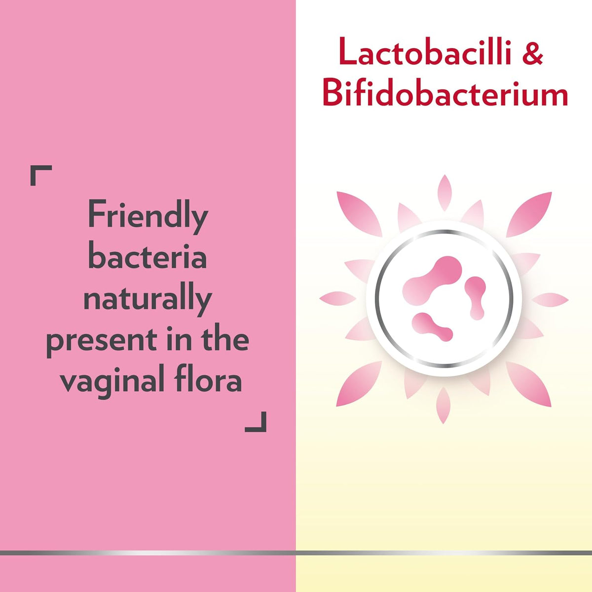 Canesten CanesBiotics Vaginal Flora Probiotic Capsules 30 Count - view 4