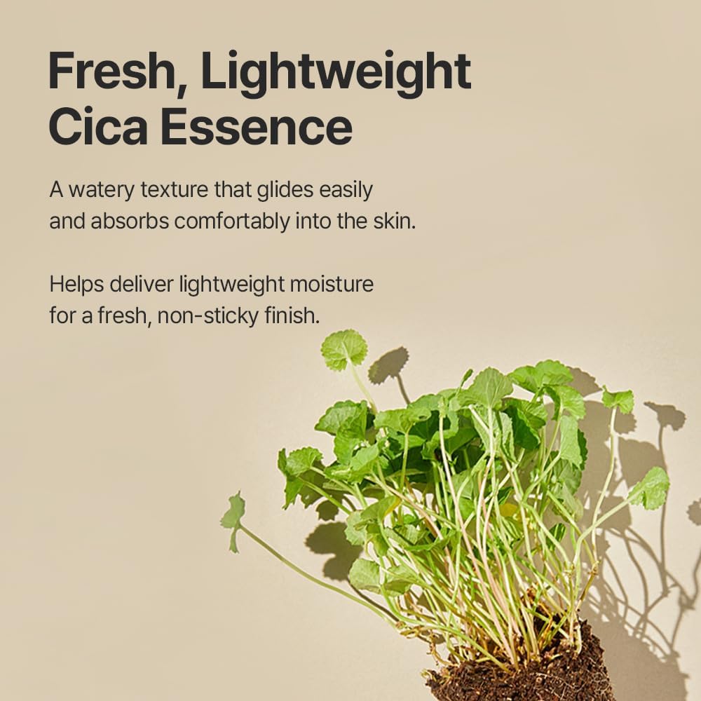 mixsoon Soondy Centella Asiatica Essence 100 ml - view 3