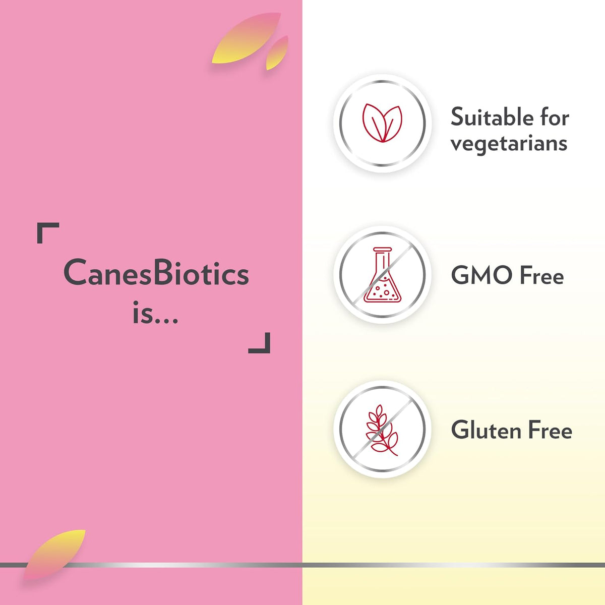 Canesten CanesBiotics Vaginal Flora Probiotic Capsules 30 Count - view 6