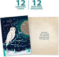 Tree-Free Greetings Solstice Owl Cards, Pack of 12