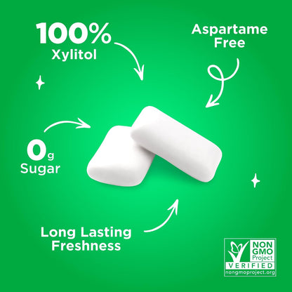 PUR Gum Spearmint Sugar-Free Xylitol Chewing Gum, 55 Count - view 6